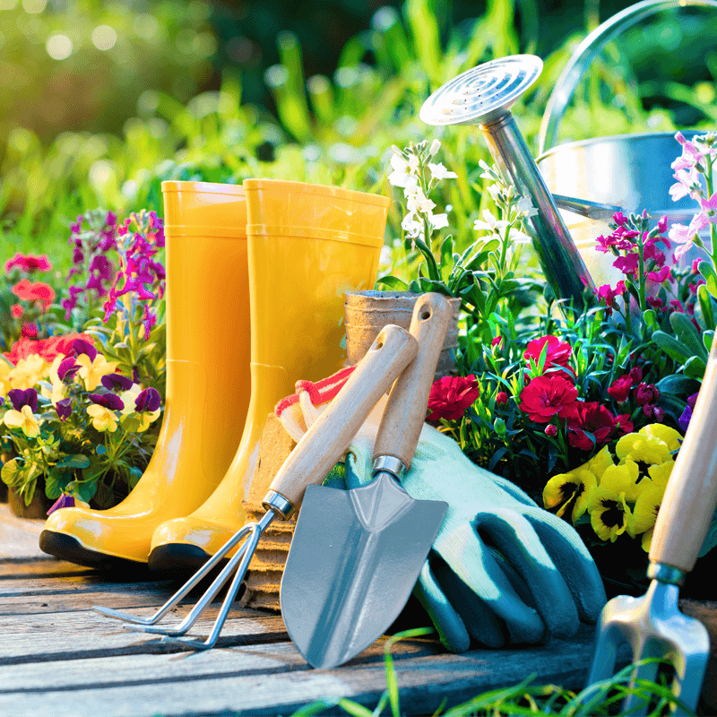 Gardening